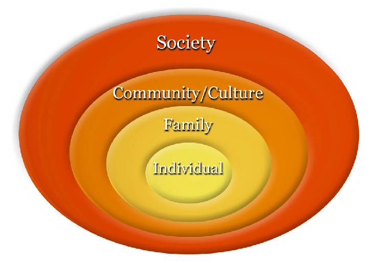 The Concept of Social Institution