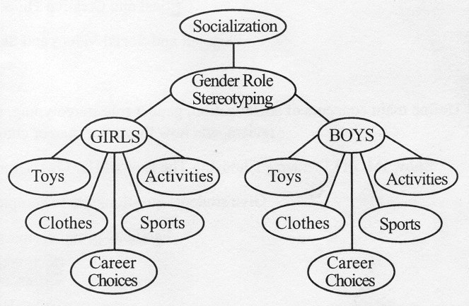 Socialization & Theories of the Process of Socialization