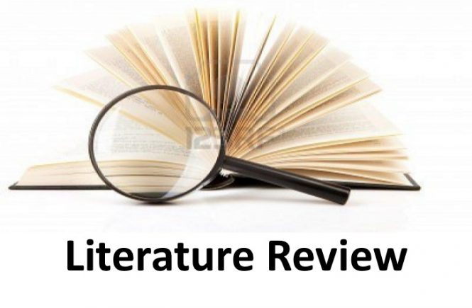 Literature Review