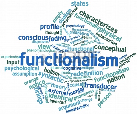 FOCUS ON FUNCTIONALISM AND CHILDREN